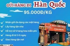 Gửi hàng đi Hàn Quốc  - Tiến Việt Express