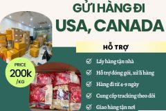 Gửi hàng đi USA, Canada - Tiến Việt Express