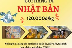 Gửi hàng đi Nhật Bản  - Tiến Việt Express