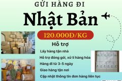 Gửi hàng đi Nhật Bản  - Tiến Việt Express
