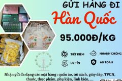 Gửi hàng đi Hàn Quốc - Tiến Việt Express