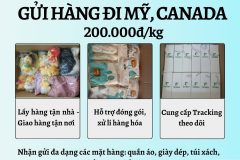 Gửi hàng đi USA, Canada - Emery Express