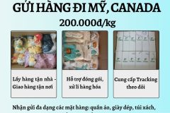 Gửi hàng đi USA, Canada - Tiến Việt Express