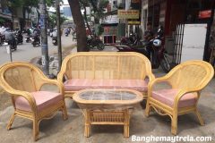 Bàn ghế sofa mây kết hợp lưới mắt cáo