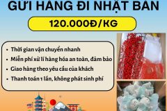 Gửi hàng đi Nhật Bản  - Tiến Việt Express