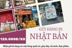 Gửi hàng đi Nhật Bản  - Tiến Việt Express