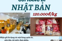 Gửi hàng đi Nhật Bản  - Tiến Việt Express