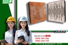GỖ TIÊU ÂM – GIẢI PHÁP HOÀN HẢO CHO KHÔNG GIAN HIỆN ĐẠI