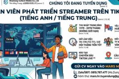 TUYỂN NHÂN VIÊN PHÁT TRIỂN STREAMER TRÊN TIKTOK