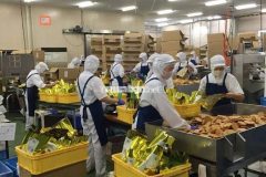 Tuyển NV Nam đổ khuôn bánh kẹo, đóng gói làm tại Thủ Đức