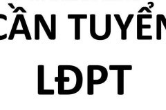 Tuyển NAM LĐPT làm tại Miếu Gò Xoài P.BTĐ Q.Bình Tân cũ