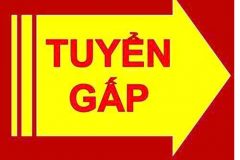 Tuyển Nữ chuyên viên hồ sơ ngành hoá mỹ phẩm