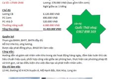 Kho BW - KCN XUYÊN Á tuyển tổ trưởng Warehouse Line Leader