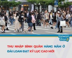 Thu nhập ở Đài loan — Tổng quan thực tế cho người Việt thông tin mới nhất 2026