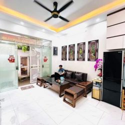 Nhà mặt phố Trần Đại Nghĩa 2 vỉa hè.Kinh doanh tốt