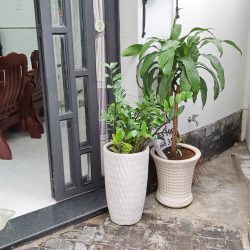VÍP - GÓC 2 MẶT TIỀN LÝ PHỤC MAN Q7