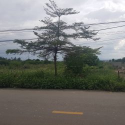 8600m2, sẵn 5600m2 thổ cư mặt tiền khu bàn cờ cư xá liên hiệp, đức trọng