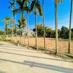 Cần bán lô đất giá chỉ 550tr 120m2 Quế Sơn Quảng Nam