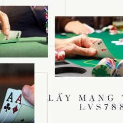 Hướng dẫn cách lấy mạng tổng lvs788