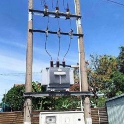 Nhà xường thị trấn Đức Hòa,Long An dt 5425m2 giá 34 tỷ