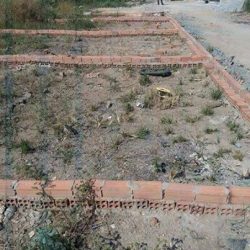 CHÍNH CHỦ CẦN BÁN ĐẤT 52m2 Vĩnh Lộc , Bình Chánh