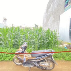 Bán lô đất ngay trung tâm liên nghĩa, đức trọng hẻm phạm ngũ lão