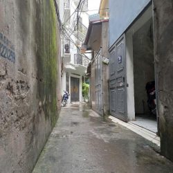 Bán đất lĩnh nam 52M ngõ thông kinh doanh nhỏ hoàng mai