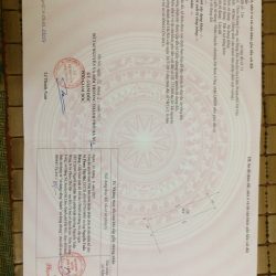 Cần bán gấp