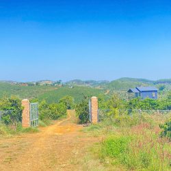 Đất hẻm ql28B, ninh gia, đức trọng cũ, lâm đồng 3,7 héc ta ( 37.000m2 )