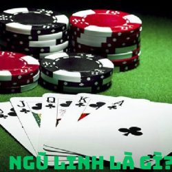 Ngũ linh là gì? Liệu ngũ linh có ăn được Xì dách không?