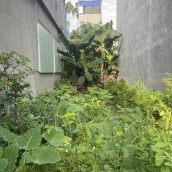 Bán đất ở mặt ngõ rộng