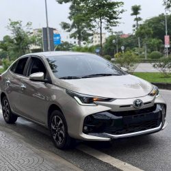 Xe lướt giá mềm