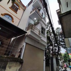 Nguyễn Văn Cừ Long Biên 10 tỷ 60m ô tô qua nhà gần công viên