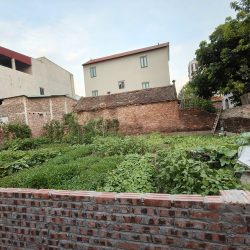 Đất không sổ, nằm trong dân, 180m2, mt15m, 2,65  tỷ, Thụy Lâm, Đông Anh.