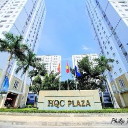 Thua world cup - Ngộp bán căn 2PN tại chung cư Hoàng Quân Nguyễn Văn Linh.