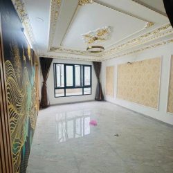 Mặt tiền Kênh Tân Hóa nở hậu giá chỉ 8,x tỷ