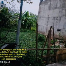 Chính chủ cần bán ngay và luôn mảnh đất ở Thượng Phúc, Tả Thanh Oai, Thanh Trì,