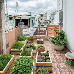 Bán nhà Cách Mạng Tháng Tám, QUẬN 3, 3 x 16.5 (49 m2), 9 tỷ
