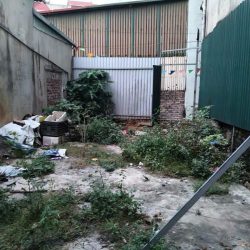 Cần ra gấp đất Thụy Lâm 47m2, mt4.3m, 2.45 tỷ, Đông Anh, gần, cực gần ô tô.