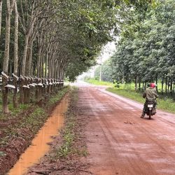 Bán đất Bắc Tân Uyên, Bình Dương giá rẻ