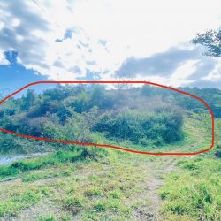 1 lô đất thuộc xã ninh gia, đức trọng cũ, lâm đồng, sau bách hóa xanh đi vào