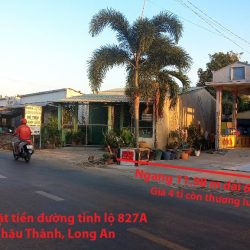 BÁN GẤP ĐẤT THỔ TẶNG NHÀ MẶT TIỀN ĐƯỜNG TỈNH LỘ 827A NHỰA TRÊN 10M. THUẬN MỸ, CH