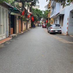 Đất hiếm Tam Trinh, mặt ngõ kinh doanh, ô tô tránh, diện tích 35m2,  3,2 tỷ