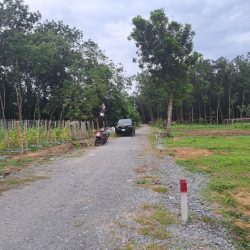 Bán đất Bình Dương giá rẻ 285m2/100 tc sổ sẳn