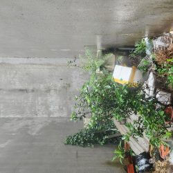 1,88 tỷ bán đất thúy lĩnh 30M hoàng mai