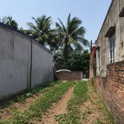 Bán Lô đất đẹp Hải Phòng - Thị Trấn Tiên Lãng