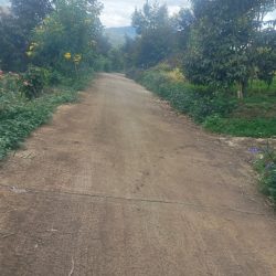 8764m2 đất vườn sầu riêng thôn 6, xã Lộc Nam, huyện Bảo Lâm, Lâm Đồng giá 4ty400