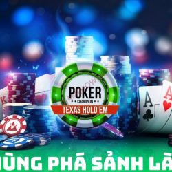 THÙNG PHÁ SẢNH LÀ GÌ?