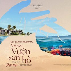 Chiếu khấu 28% Suất ngoại giao từ CĐT chỉ 1.173tỷ/Căn-tặng phí QL 3 năm, 2 năm d