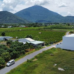 Ngộp bán gấp lô đất thổ cư ngay thị trấn diện tích 200m giá 250tr